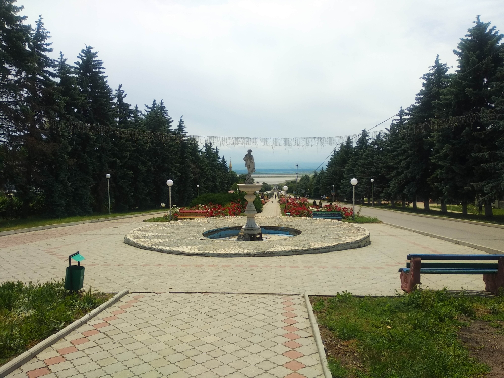Фотографии.