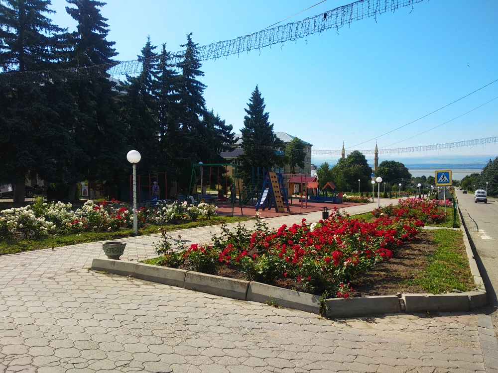 Фотографии.
